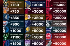 湖人队弃用二轮秀背后的NBA抉择与冠军追求