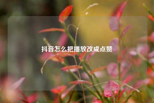 抖音怎么把播放改成点赞