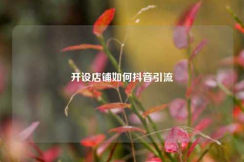 开设店铺如何抖音引流