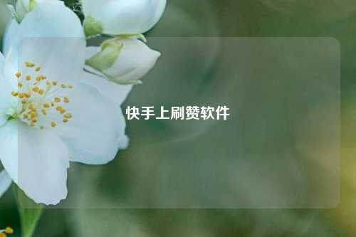 快手上刷赞软件