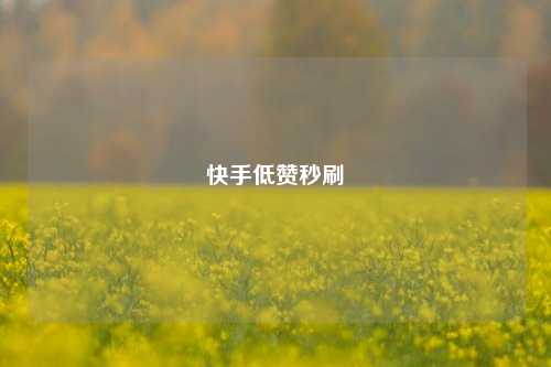 快手低赞秒刷