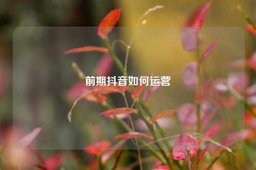 前期抖音如何运营